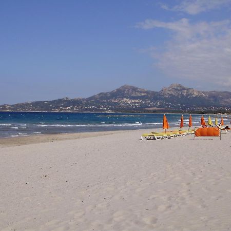 Appartement F1 Calvi A 150 Metres De La Plage Bagian luar foto